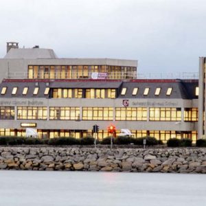 Galway Cultural Institute