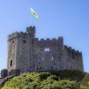Young Adults (16-18 anni) - Celtic English Academy