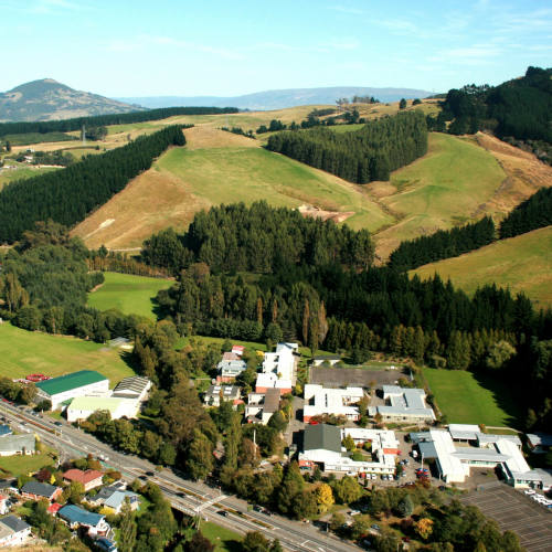 hs-destinazionelingue-nz-kaikorai hs-destinazionelingue-nz-kaikorai