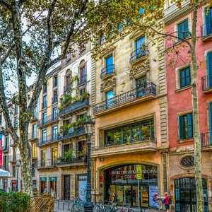 Young Adults (16-18 anni) - Expanish Barcellona