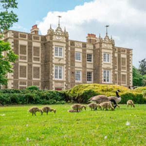 Discover London (14-18 anni) - Emerald Cultural Institute